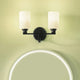 Gioe 14.25" 2-Light Vanity Light