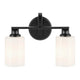 Gioe 14.25" 2-Light Vanity Light