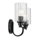 Gioe 14.25" 2-Light Vanity Light