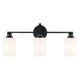 Gioe 24.25" 3-Light Vanity Light