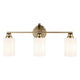 Gioe 24.25" 3-Light Vanity Light