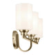 Gioe 24.25" 3-Light Vanity Light
