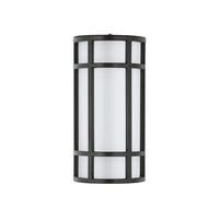 Moon Ray 12" LED Outdoor Wall Sconce