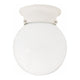 Globe 1-Light Flush Mount
