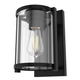 Astwood 1-Light Wall Sconce