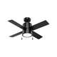 Beck Fan with LED Light 42"