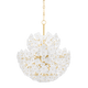 5613-VGL