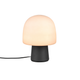 Steen 1-Light Table Lamp
