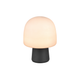 Steen 1-Light Table Lamp