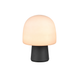 Steen 1-Light Table Lamp