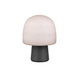 Steen 1-Light Table Lamp