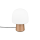 Steen 1-Light Table Lamp