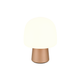 Steen 1-Light Table Lamp