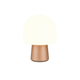 Steen 1-Light Table Lamp