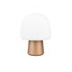 Steen 1-Light Table Lamp