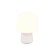 Steen 1-Light Table Lamp