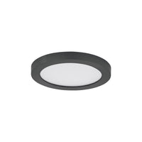 Chip 5" 12W Round LED Flush Mount (5CCT)