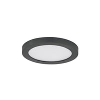 Chip 5" 12W Round LED Flush Mount 5CCT
