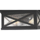 Brookside 2-Light Outdoor Ceiling Light
