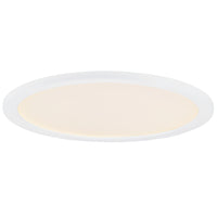 Wafer 22" Round LED Surface Mount 3000K