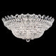 Trilliane 23-Light Flush Mount