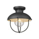 Ansel 1-Light Outdoor Ceiling Light