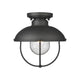 Ansel 1-Light Outdoor Ceiling Light