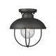 Ansel 1-Light Outdoor Ceiling Light