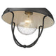 Ansel 1-Light Outdoor Ceiling Light
