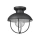 Ansel 1-Light Outdoor Ceiling Light