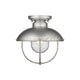 Ansel 1-Light Outdoor Ceiling Light