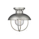 Ansel 1-Light Outdoor Ceiling Light