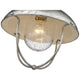 Ansel 1-Light Outdoor Ceiling Light