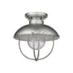 Ansel 1-Light Outdoor Ceiling Light