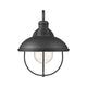 Ansel 1-Light Outdoor Wall Light