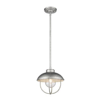 Ansel 1-Light Outdoor Pendant