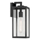 Branner 14" 1-Light Outdoor Wall Light