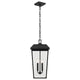 Mathus 22" 2-Light Outdoor Pendant