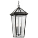 Regence 26" 2-Light Outdoor Pendant