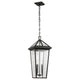 Regence 26" 2-Light Outdoor Pendant