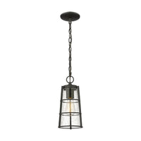 Helix 1-Light 13.25" Outdoor Pendant