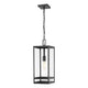 Nuri 1-Light 19.75" Outdoor Pendant
