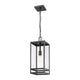 Nuri 1-Light 19.75" Outdoor Pendant