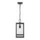 Nuri 1-Light 16" Outdoor Pendant