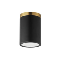 Dapper 1-Light Flush Mount