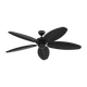 Cruise Outdoor 60 Ceiling Fan