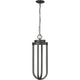Leland 1-Light Outdoor Chain Mount Ceiling Fixture