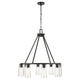Titus 8-Light Chandelier