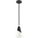 828P7-ROD-MB