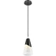 Aimie 1-Light Pendant